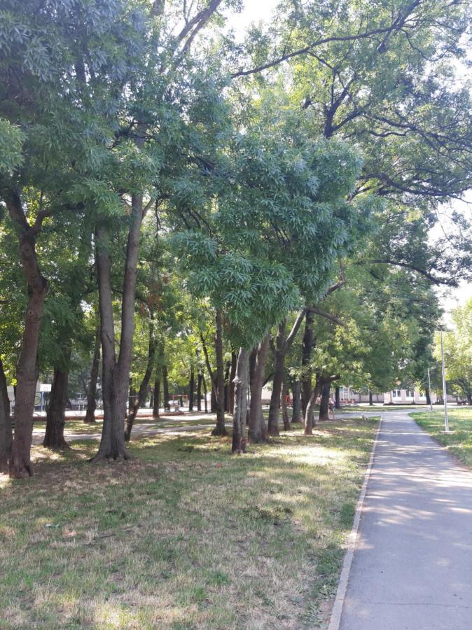 Sava River Belgrado Exterior foto